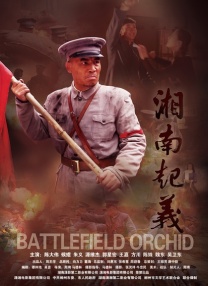 岛国大片在线播放高清